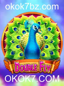 Descobrindo o Mundo de DoubleFly: Um Mergulho Profundo no Jogo do Momento
